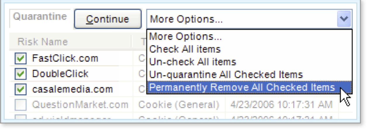 Check items to remove, then select Permanently Remove All Checked Items