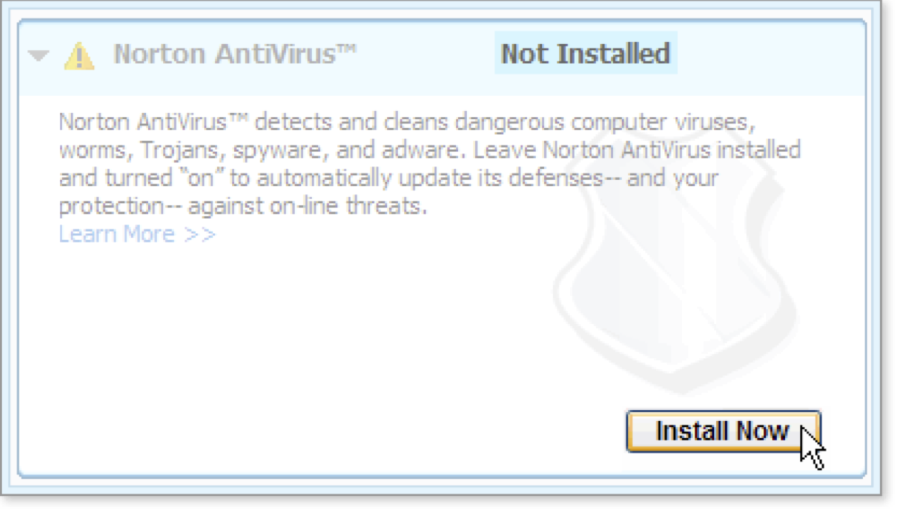 Click the Install Now button to begin installing Norton AntiVirus™.